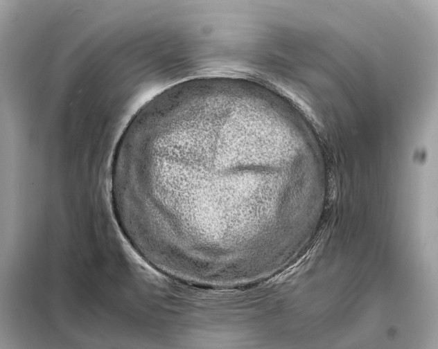 X0000098221471200805081147