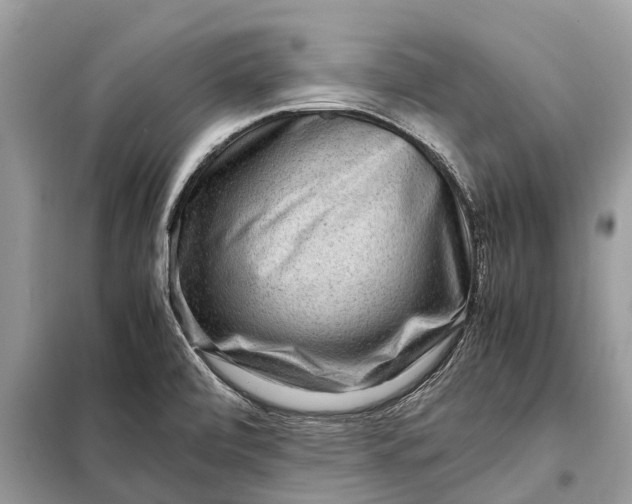 X0000098221472200805081147