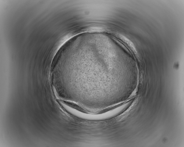 X0000098221473200805081147