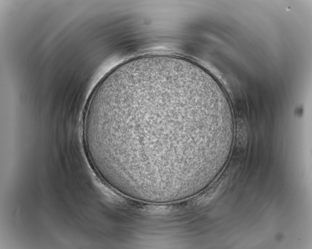 X0000098221474200805081146