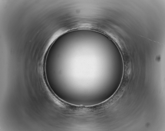 X0000098221475200805081146