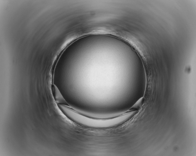 X0000098221476200805081146