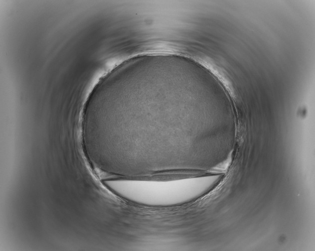 X0000098221477200805081146