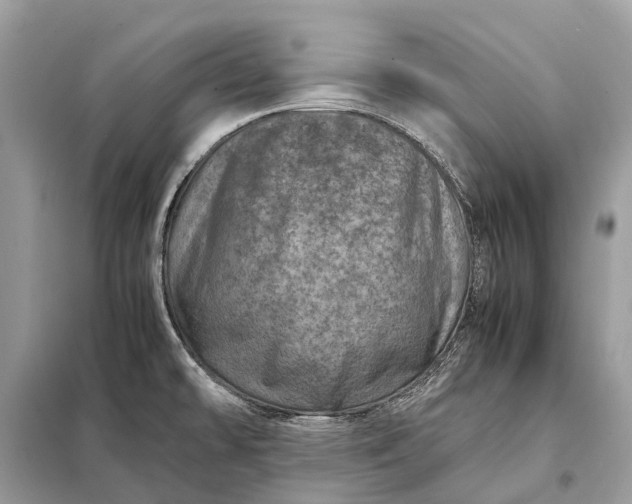 X0000098221478200805081146