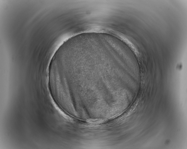 X0000098221479200805081146