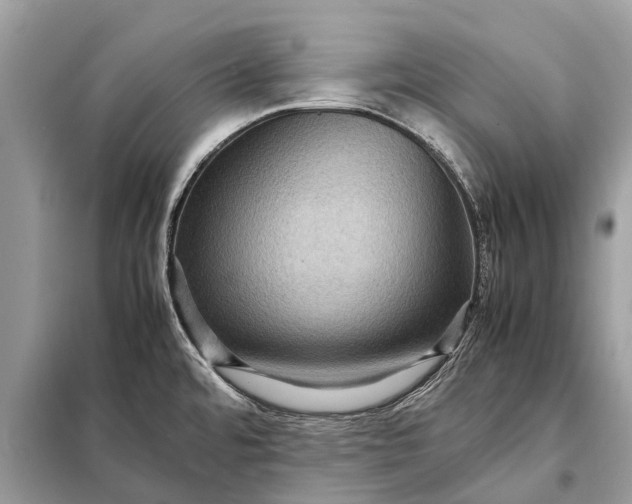 X0000098221480200805081146