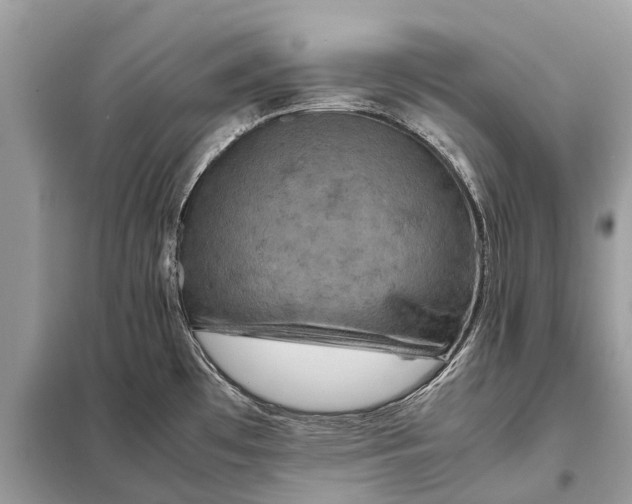 X0000098221481200805081146