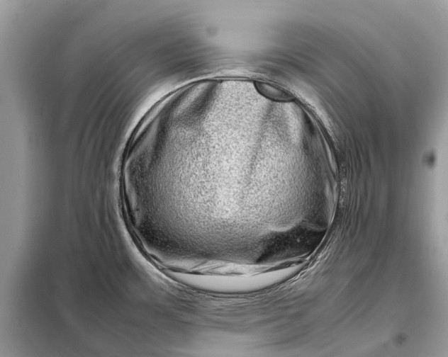 X0000098221483200805081146