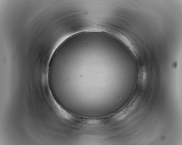 X0000098221484200805081146