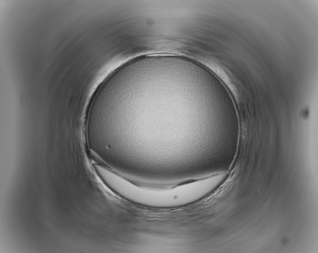 X0000098221485200805081146