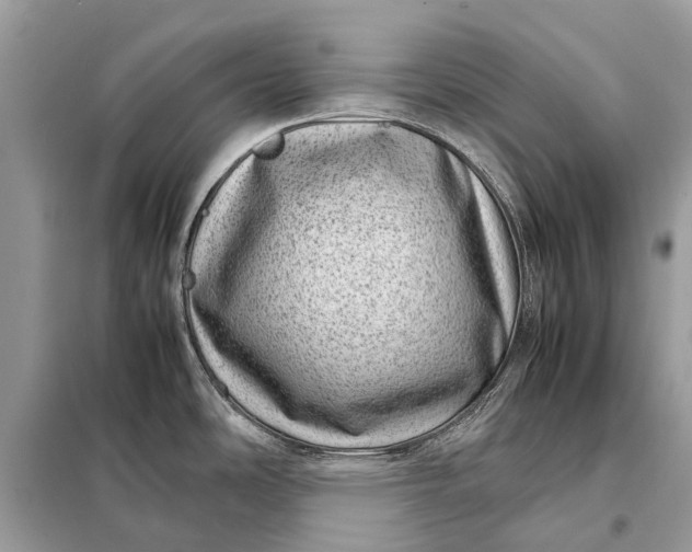 X0000098221486200805081146