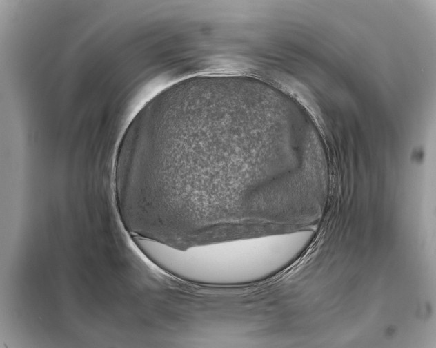 X0000098221487200805081146