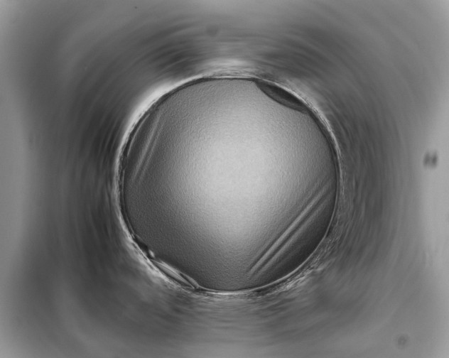 X0000098221488200805081146