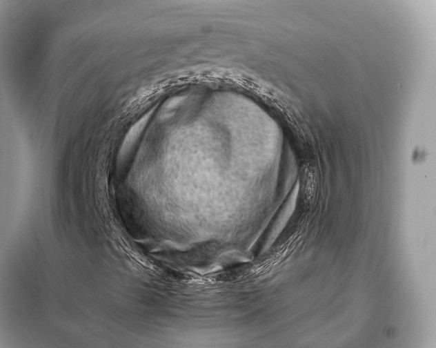 X0000098221489200805081145