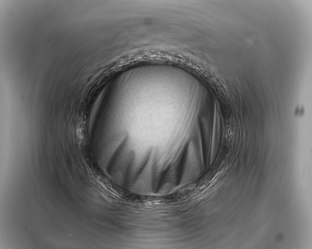 X0000098221490200805081145