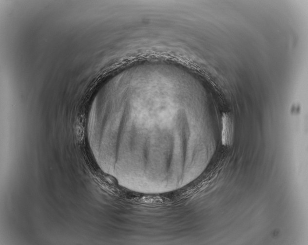 X0000098221491200805081145