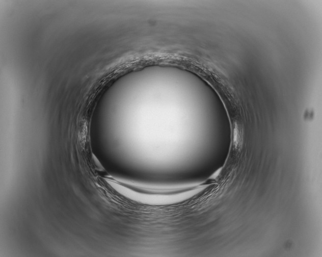 X0000098221492200805081145