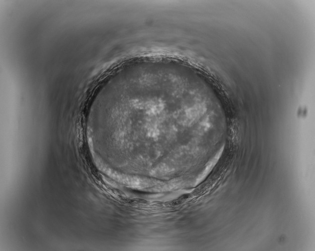 X0000098221493200805081146