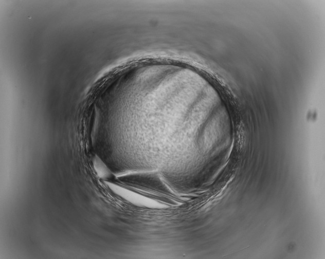 X0000098221494200805081146