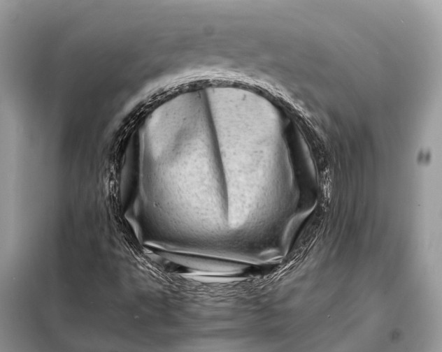 X0000098221495200805081146