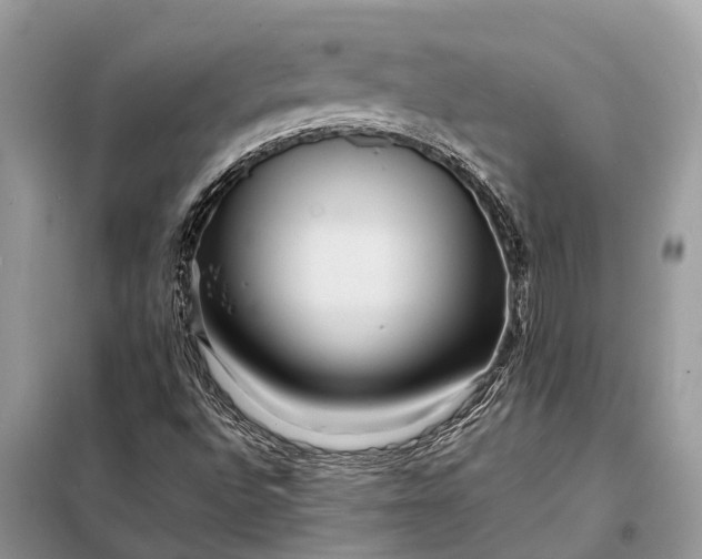 X0000098221496200805081146