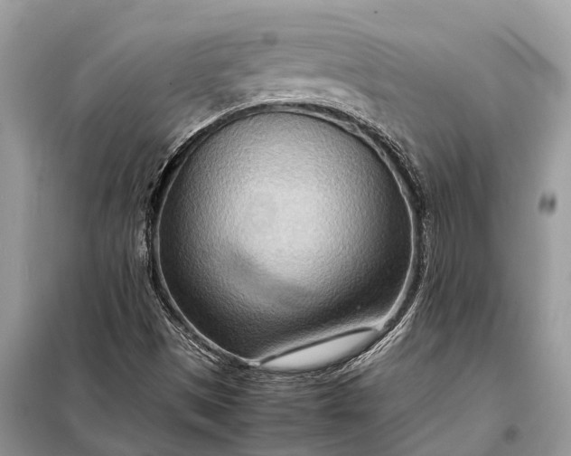 X0000098221497200805081146