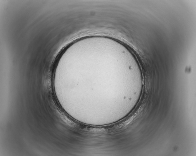 X0000098221498200805081146