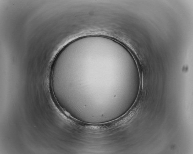 X0000098221500200805081146