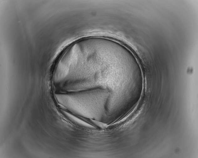 X0000098221501200805081146