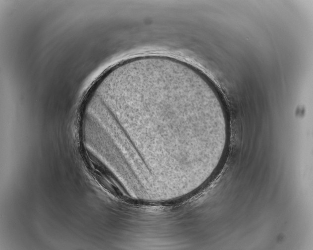 X0000098221502200805081146