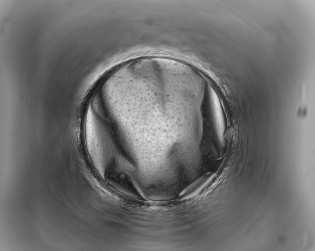 X0000098221503200805081146