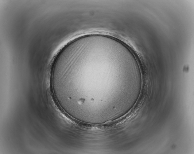 X0000098221504200805081146