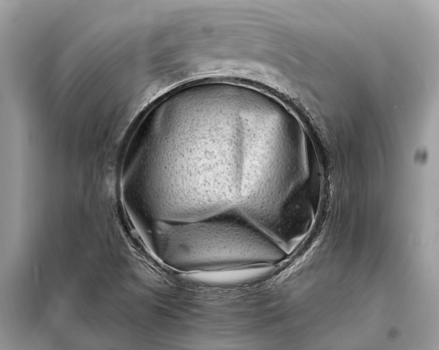 X0000098221505200805081146