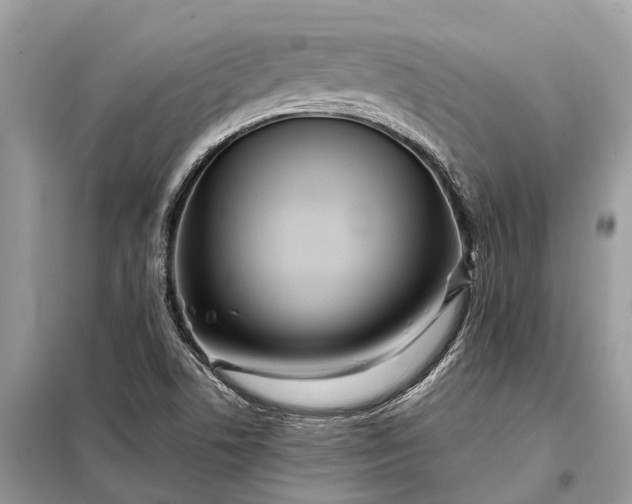 X0000098221506200805081146