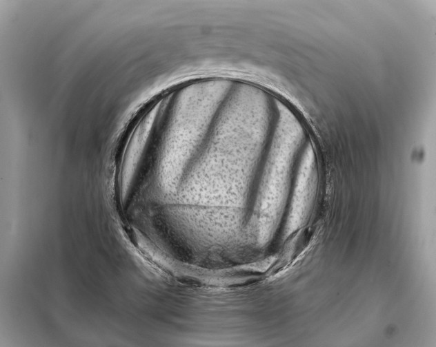 X0000098221507200805081146