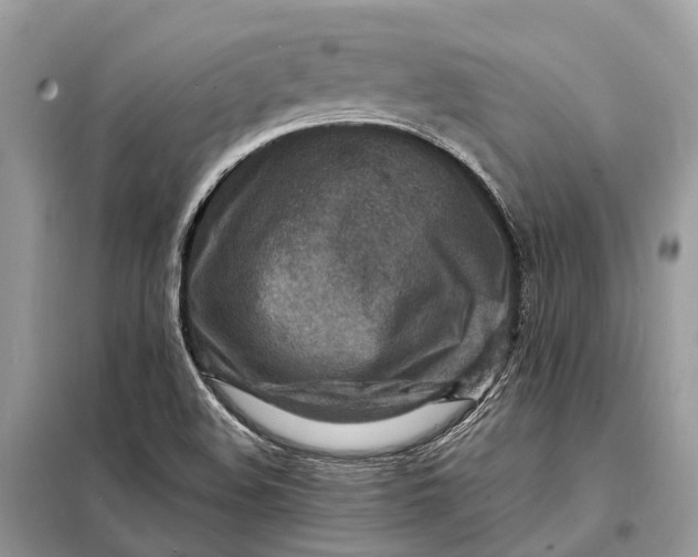 X0000098221508200805081146