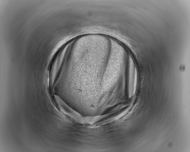 X0000098221509200805081146