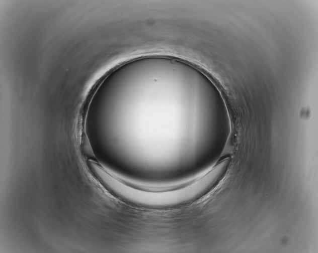 X0000098221510200805081146