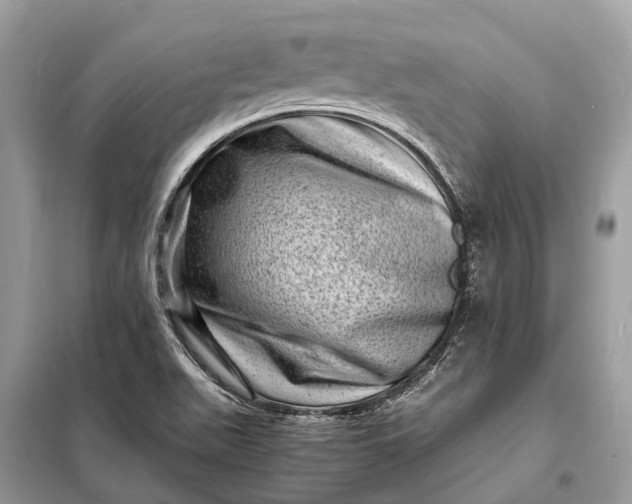 X0000098221511200805081146