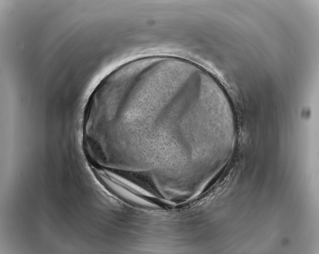 X0000098221512200805081146