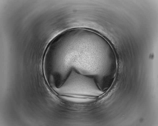 X0000098221513200805081146