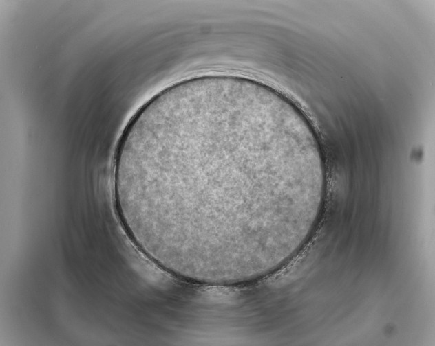 X0000098221514200805081146