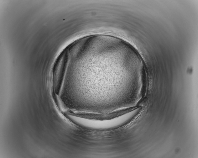 X0000098221515200805081146