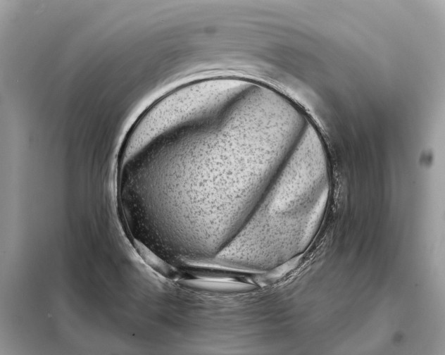 X0000098221516200805081146