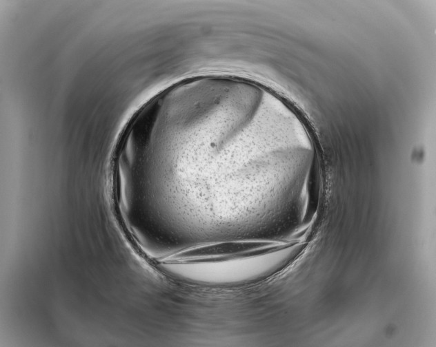 X0000098221517200805081146