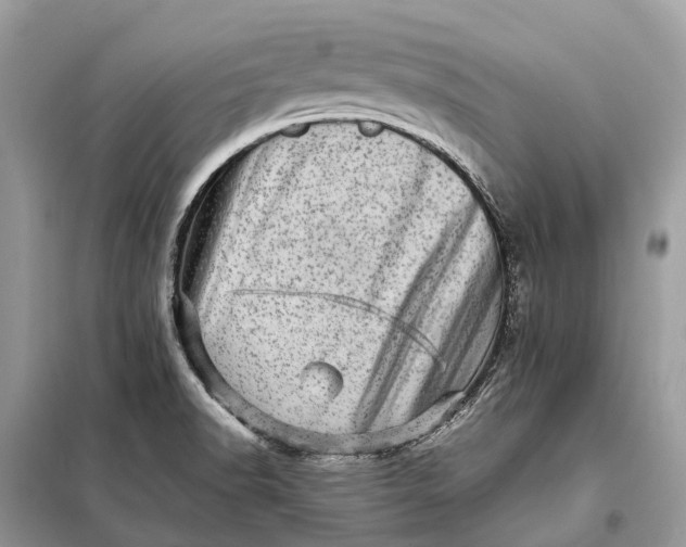 X0000098221518200805081146