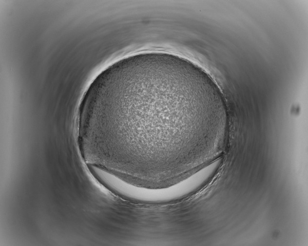 X0000098221519200805081146