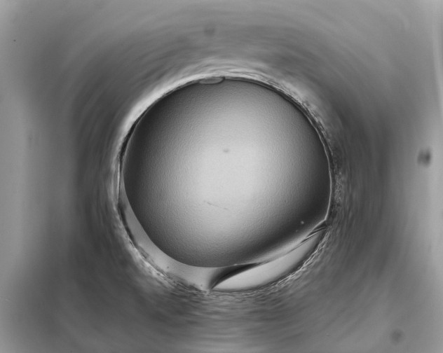 X0000098221520200805081146