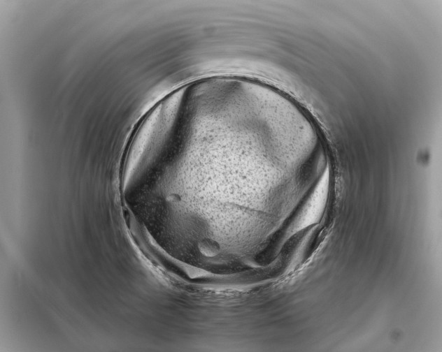 X0000098221521200805081146