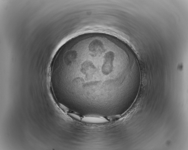 X0000098221522200805081146